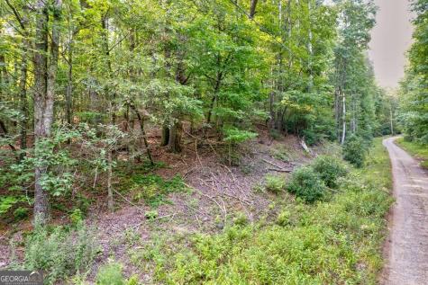 0 Wolf Pen Trail Ellijay GA 30540