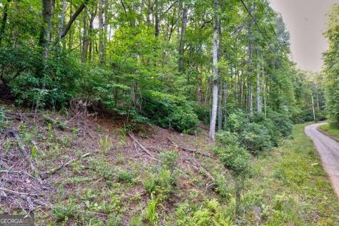 0 Wolf Pen Trail Ellijay GA 30540