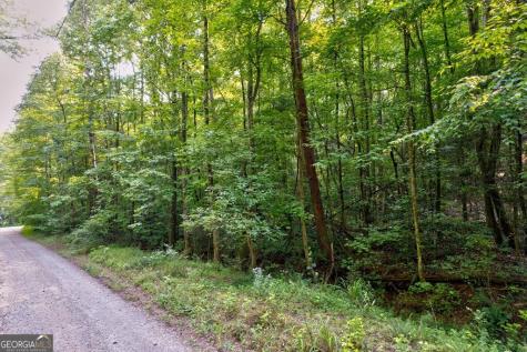 0 Wolf Pen Trail Ellijay GA 30540