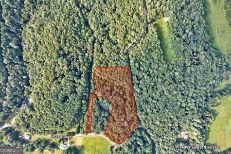 0 Wolf Pen Trail Ellijay GA 30540
