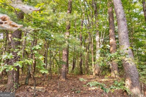 0 Wolf Pen Trail Ellijay GA 30540