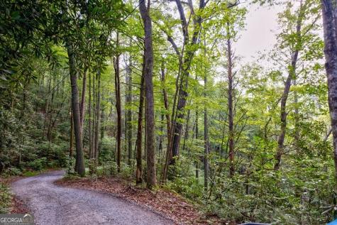 0 Wolf Pen Trail Ellijay GA 30540