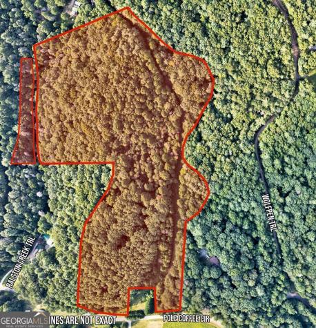 0 Wolf Pen Trail Ellijay GA 30540