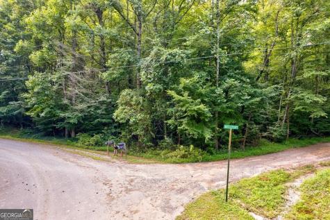 0 Wolf Pen Trail Ellijay GA 30540