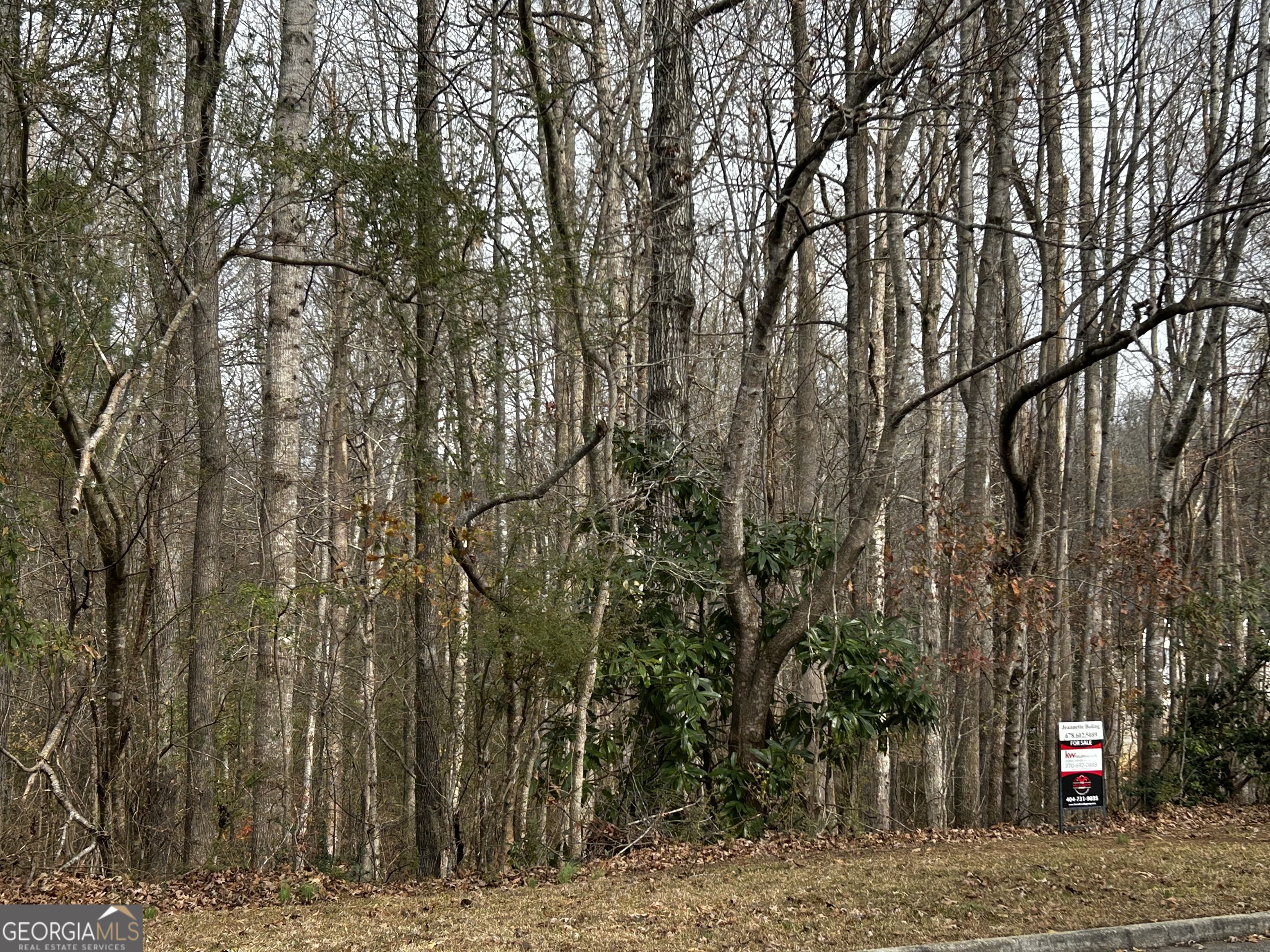 133 Four Oaks Drive Griffin GA 30224