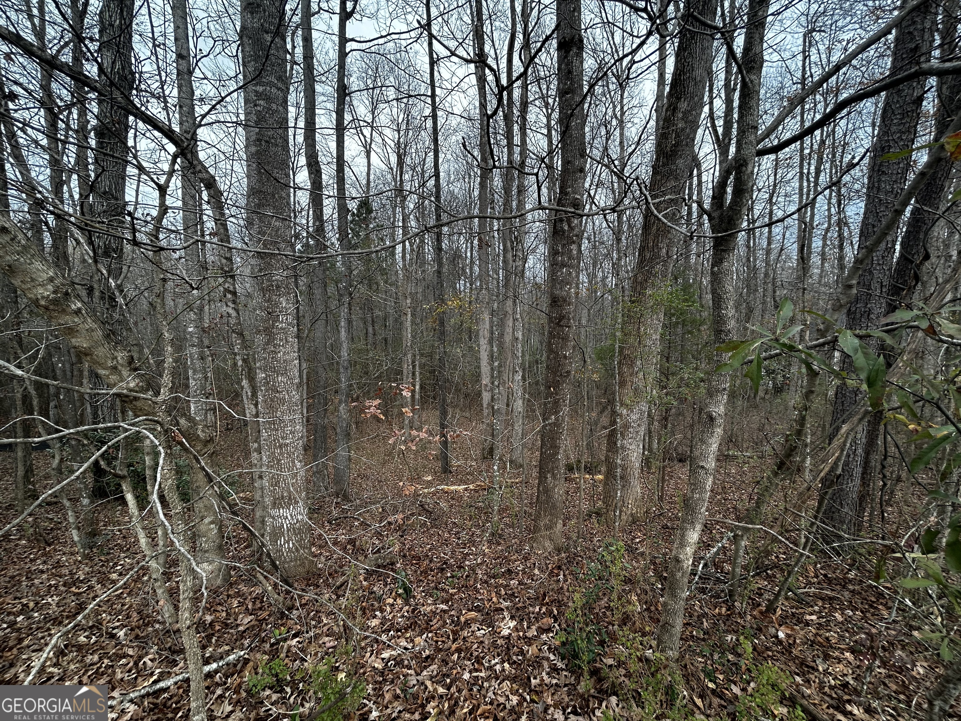 133 Four Oaks Drive Griffin GA 30224