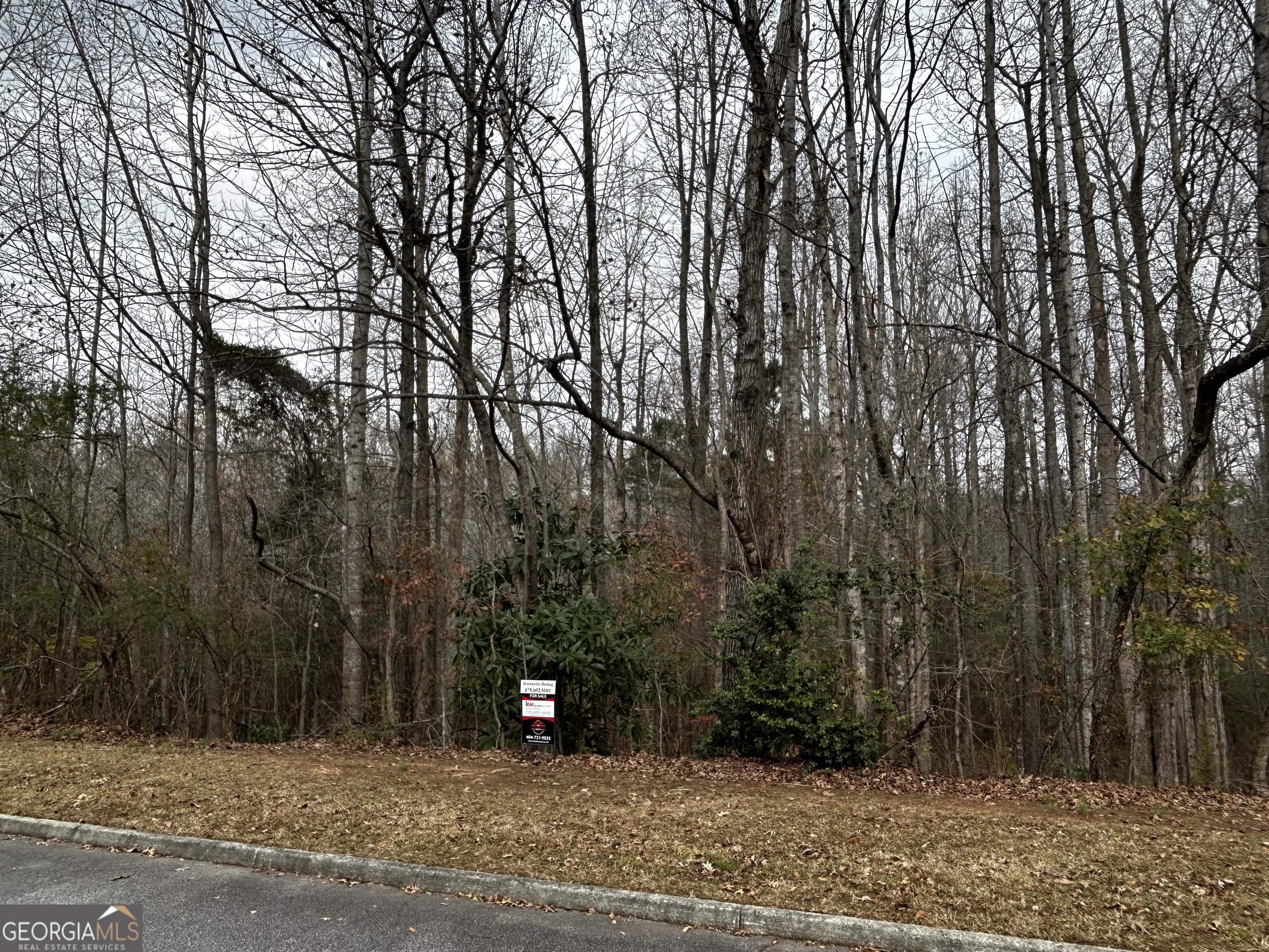 133 Four Oaks Drive Griffin GA 30224