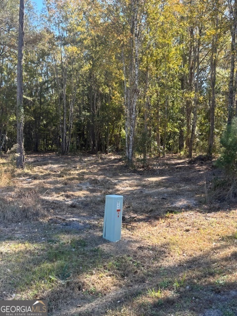 136 Herrin Road Woodbine GA 31569