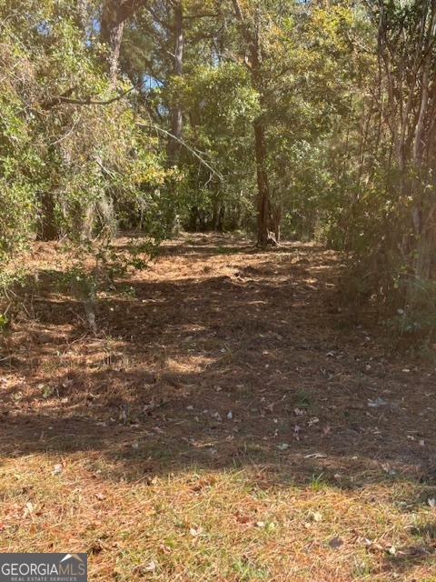 136 Herrin Road Woodbine GA 31569