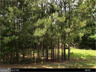 417 Lake Water Point Lizella GA 31052