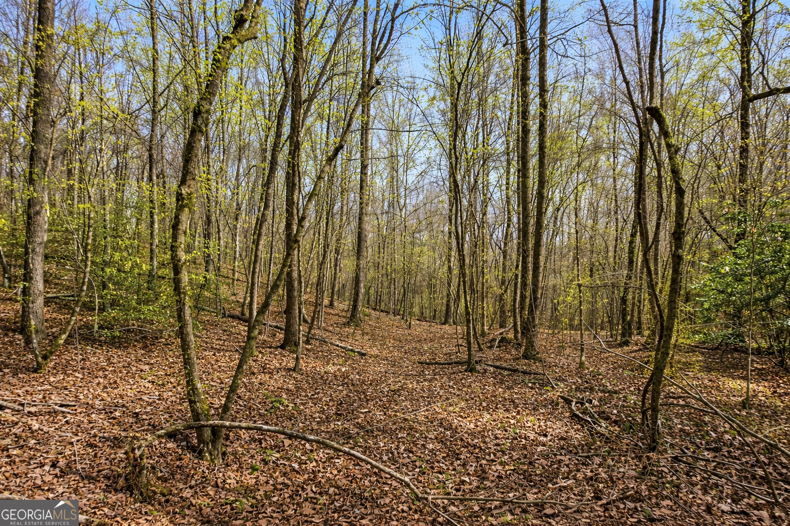 2335 Stonepile Road Clarkesville GA 30523