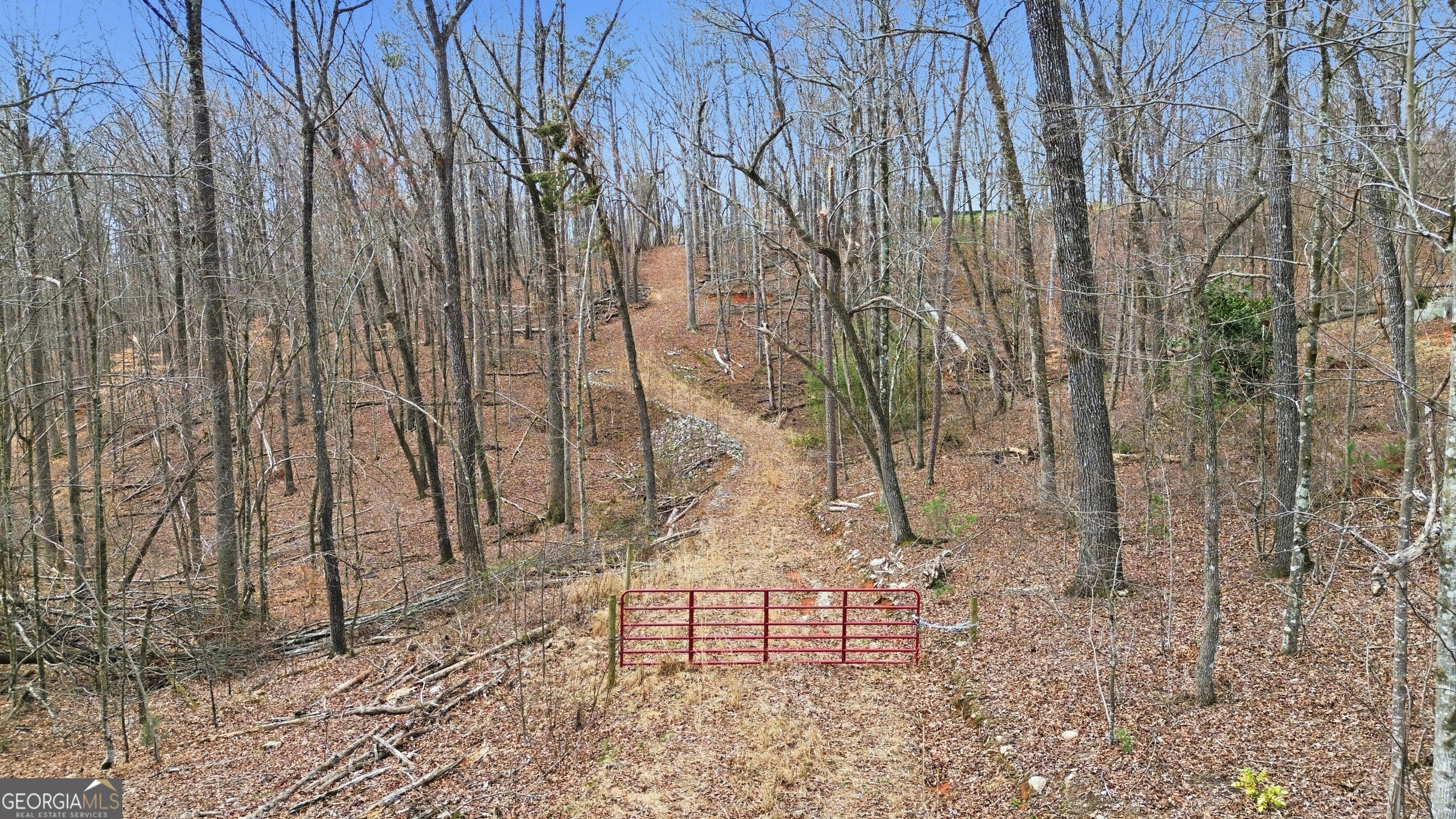 2335 Stonepile Road Clarkesville GA 30523