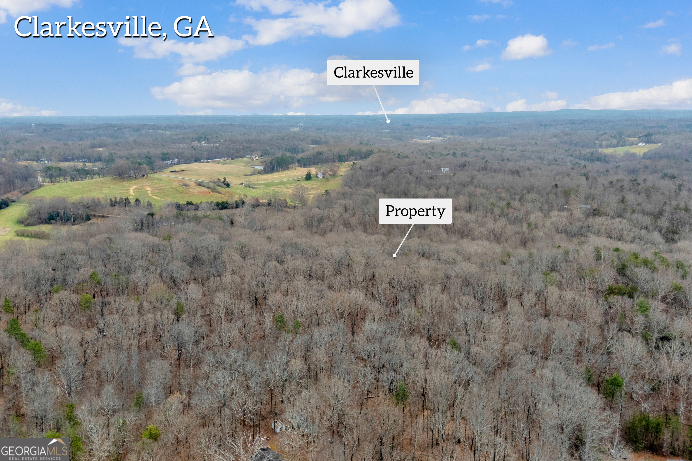 2335 Stonepile Road Clarkesville GA 30523