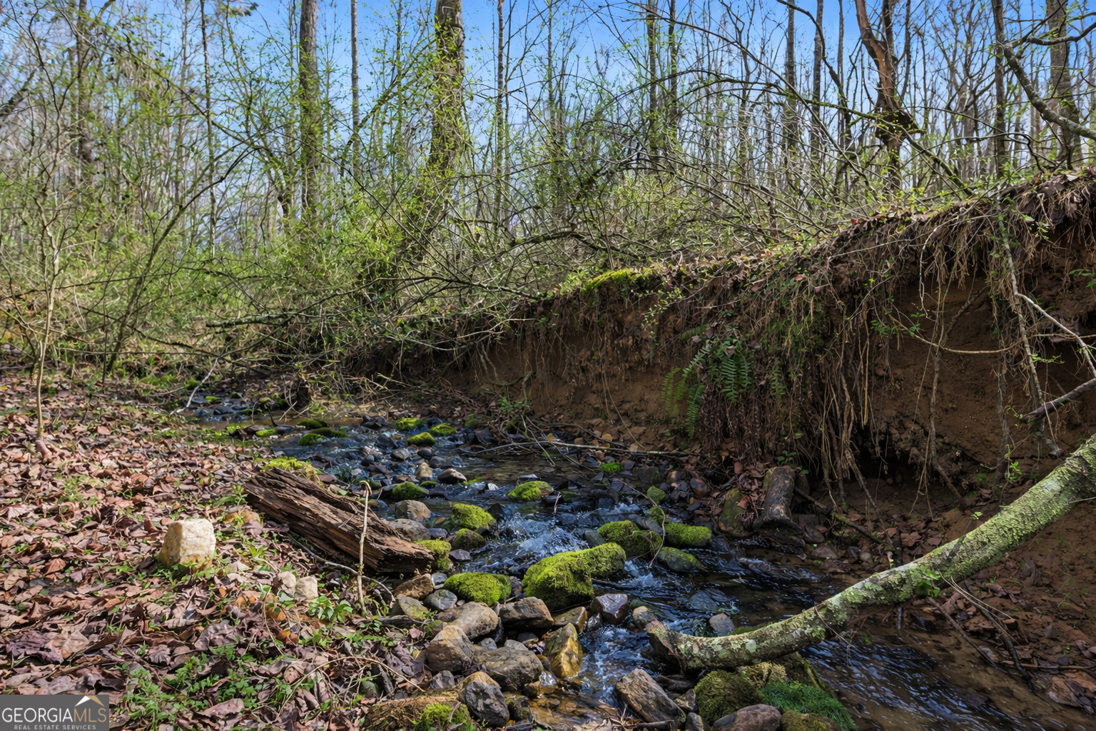 2335 Stonepile Road Clarkesville GA 30523