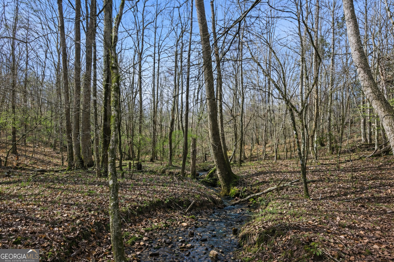 2335 Stonepile Road Clarkesville GA 30523