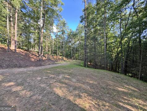 LOTS2329 South Whitepath Circle Ellijay GA 30540