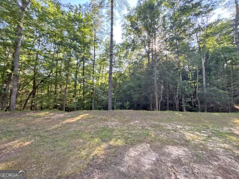 LOTS2329 South Whitepath Circle Ellijay GA 30540