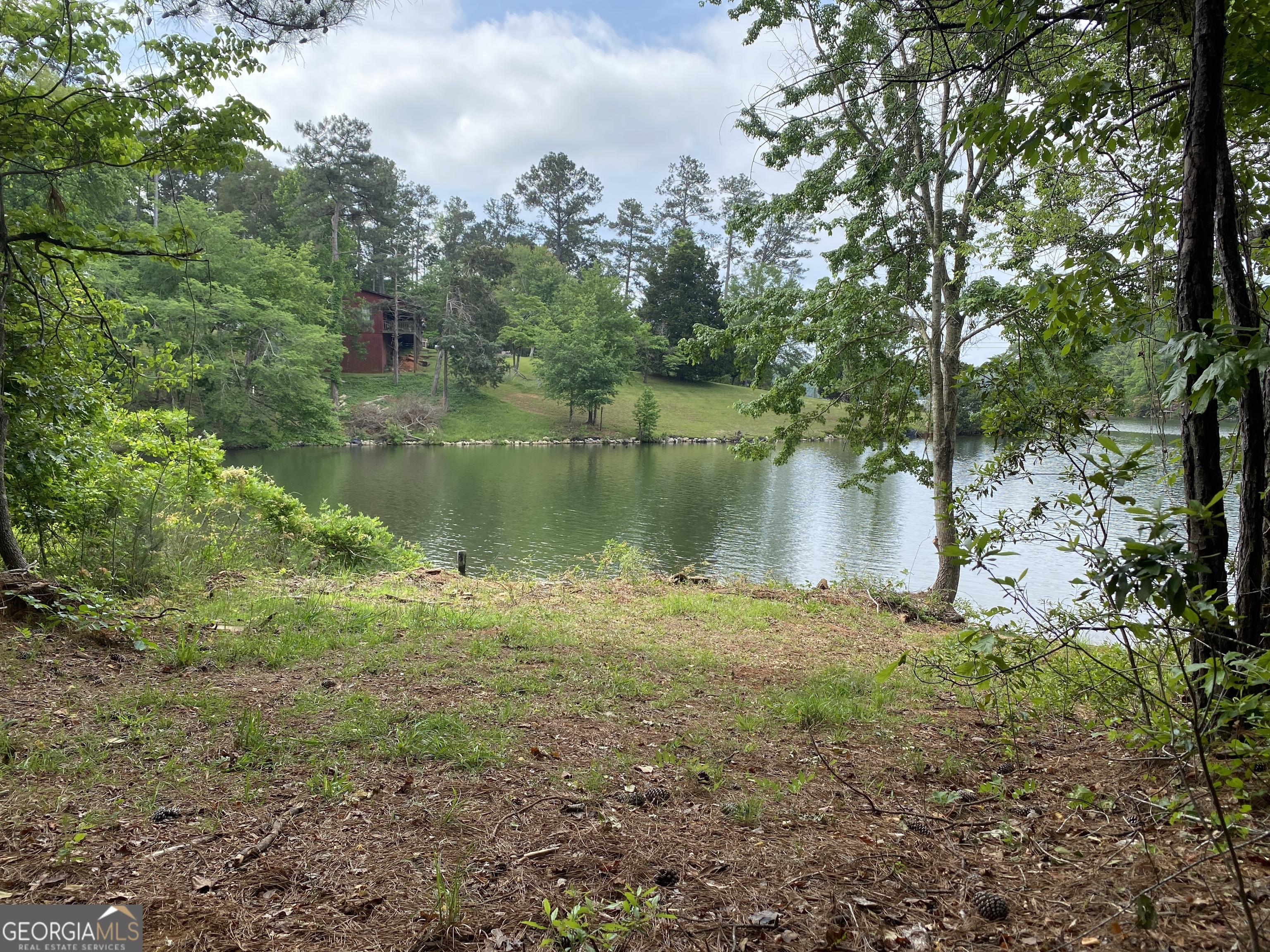0 Davis Road Hamilton GA 31811