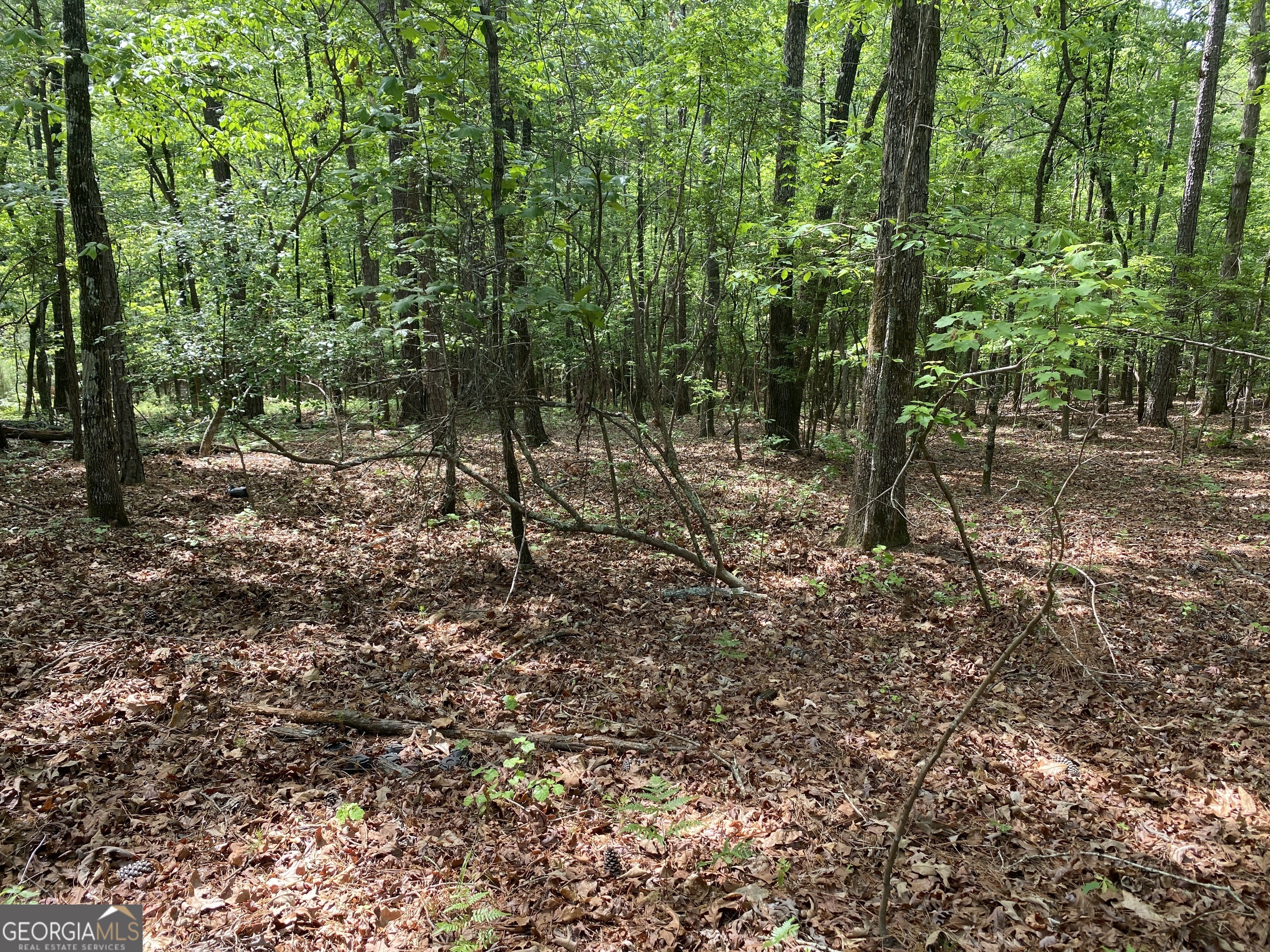 0 Davis Road Hamilton GA 31811