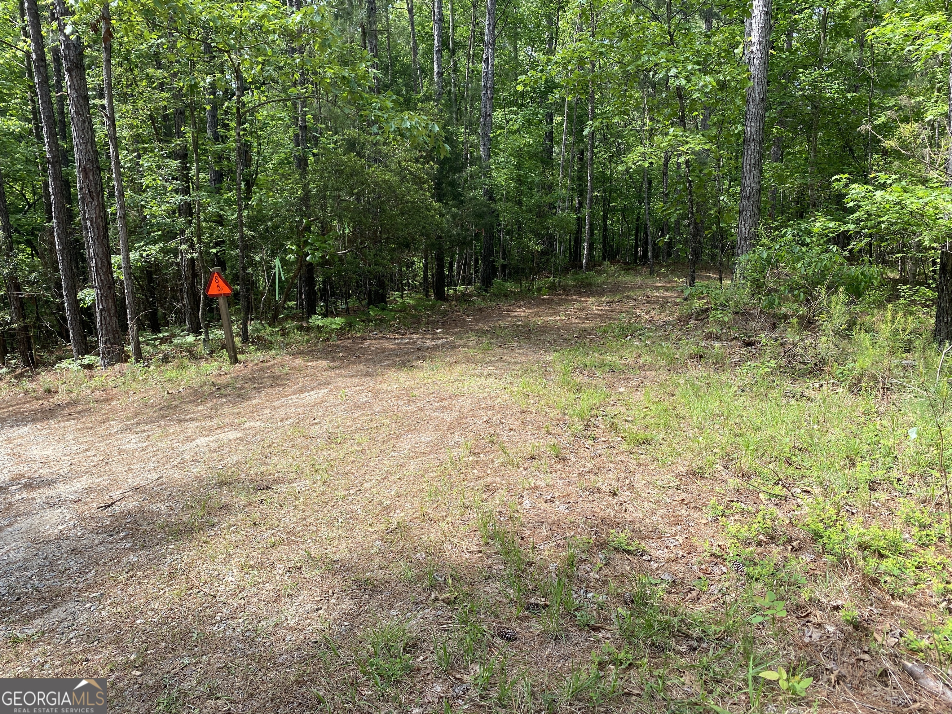 0 Davis Road Hamilton GA 31811