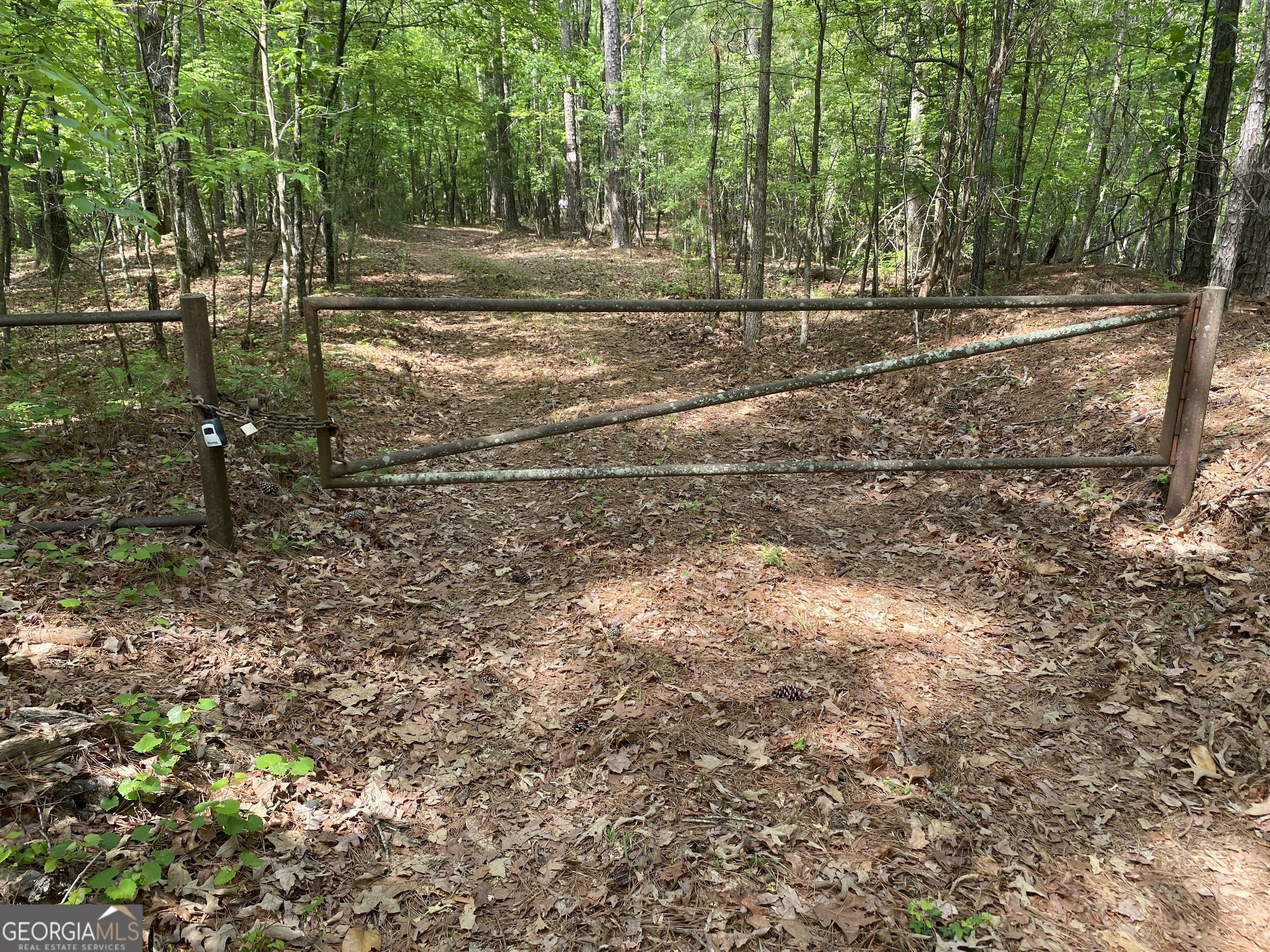 0 Davis Road Hamilton GA 31811