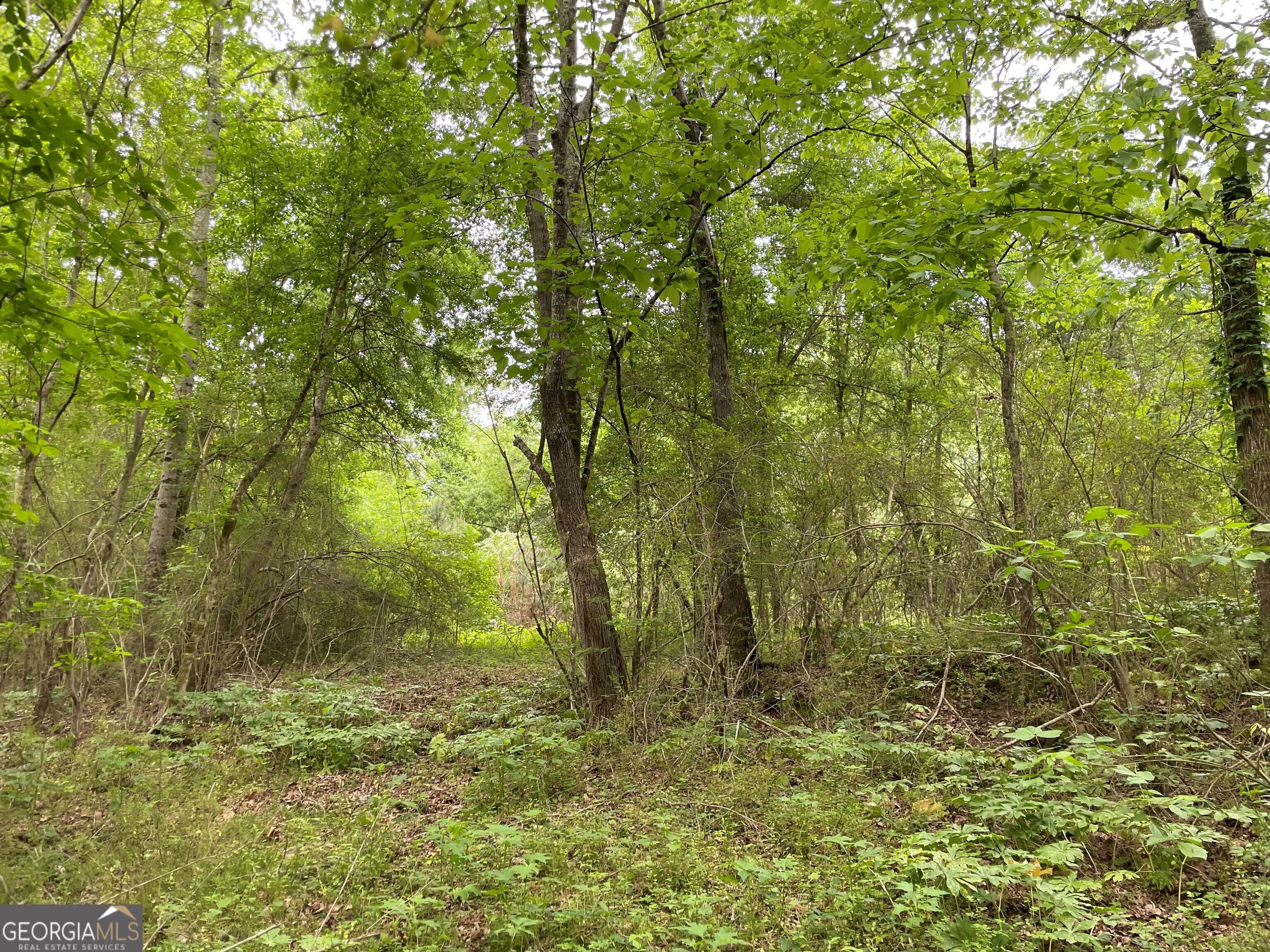 216 Mcmichen Road Dallas GA 30157