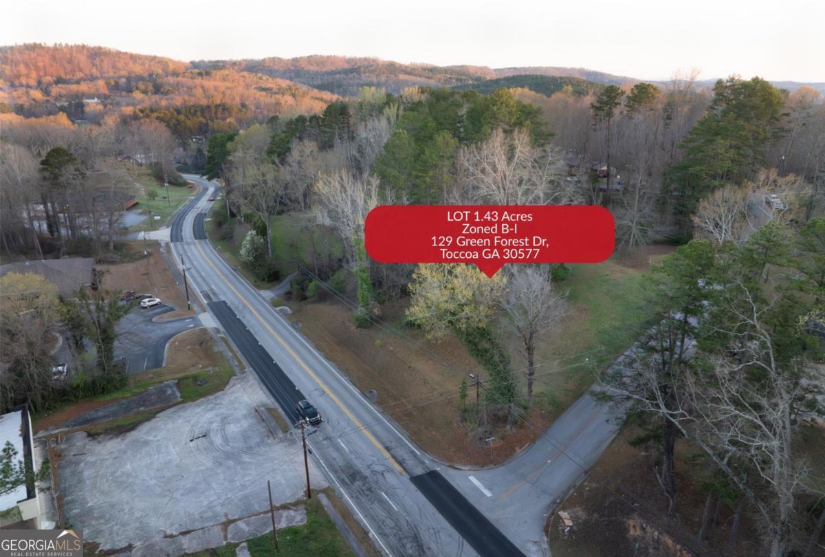 129 Green Forest Drive Toccoa GA 30577
