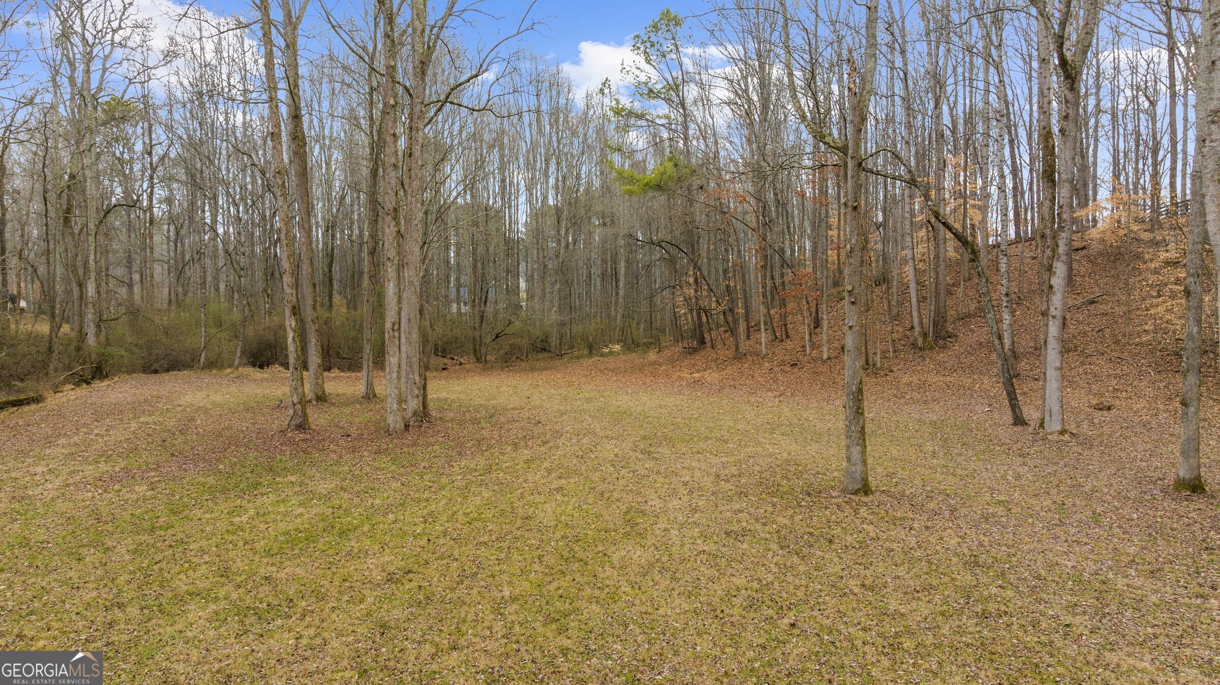 383 Liberty Grove Road Alpharetta GA 30004