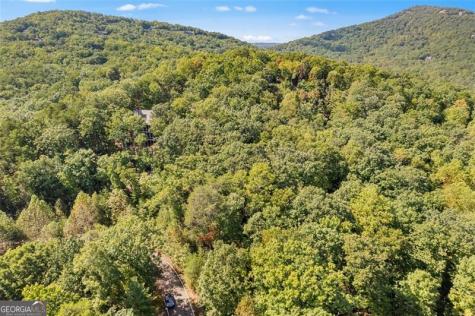 288 Blazingstar Trail Big Canoe GA 30143