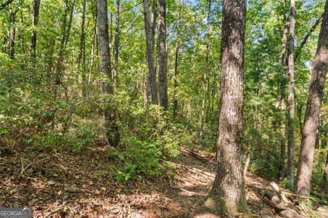 288 Blazingstar Trail Big Canoe GA 30143