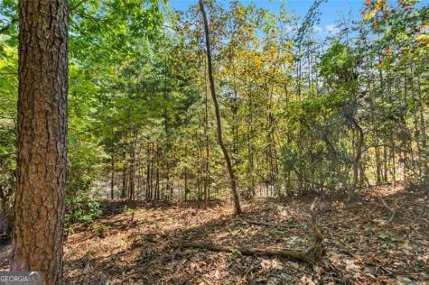 288 Blazingstar Trail Big Canoe GA 30143