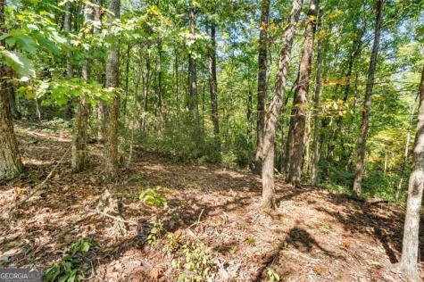 288 Blazingstar Trail Big Canoe GA 30143
