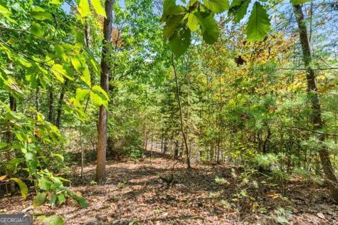 288 Blazingstar Trail Big Canoe GA 30143