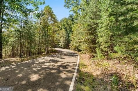 288 Blazingstar Trail Big Canoe GA 30143