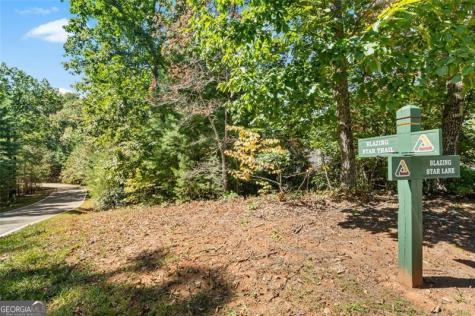288 Blazingstar Trail Big Canoe GA 30143
