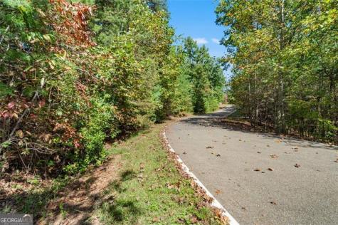 288 Blazingstar Trail Big Canoe GA 30143