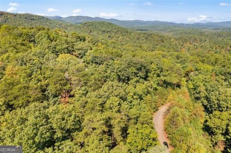 288 Blazingstar Trail Big Canoe GA 30143