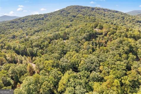 288 Blazingstar Trail Big Canoe GA 30143