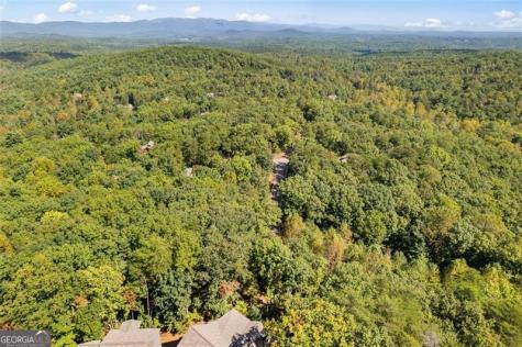 288 Blazingstar Trail Big Canoe GA 30143