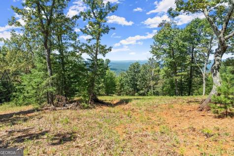 0 Helton Road Cleveland GA 30528