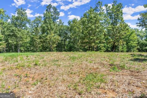 0 Helton Road Cleveland GA 30528