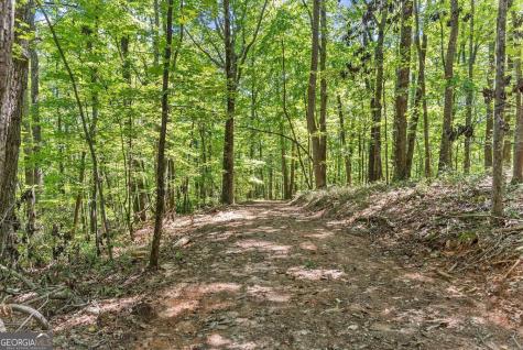 0 Helton Road Cleveland GA 30528