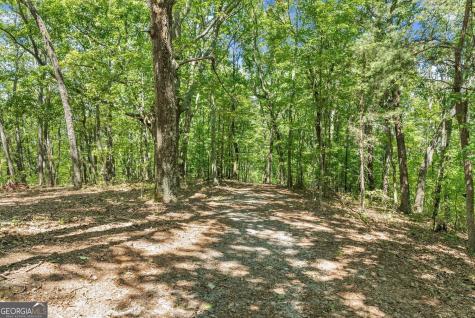 0 Helton Road Cleveland GA 30528