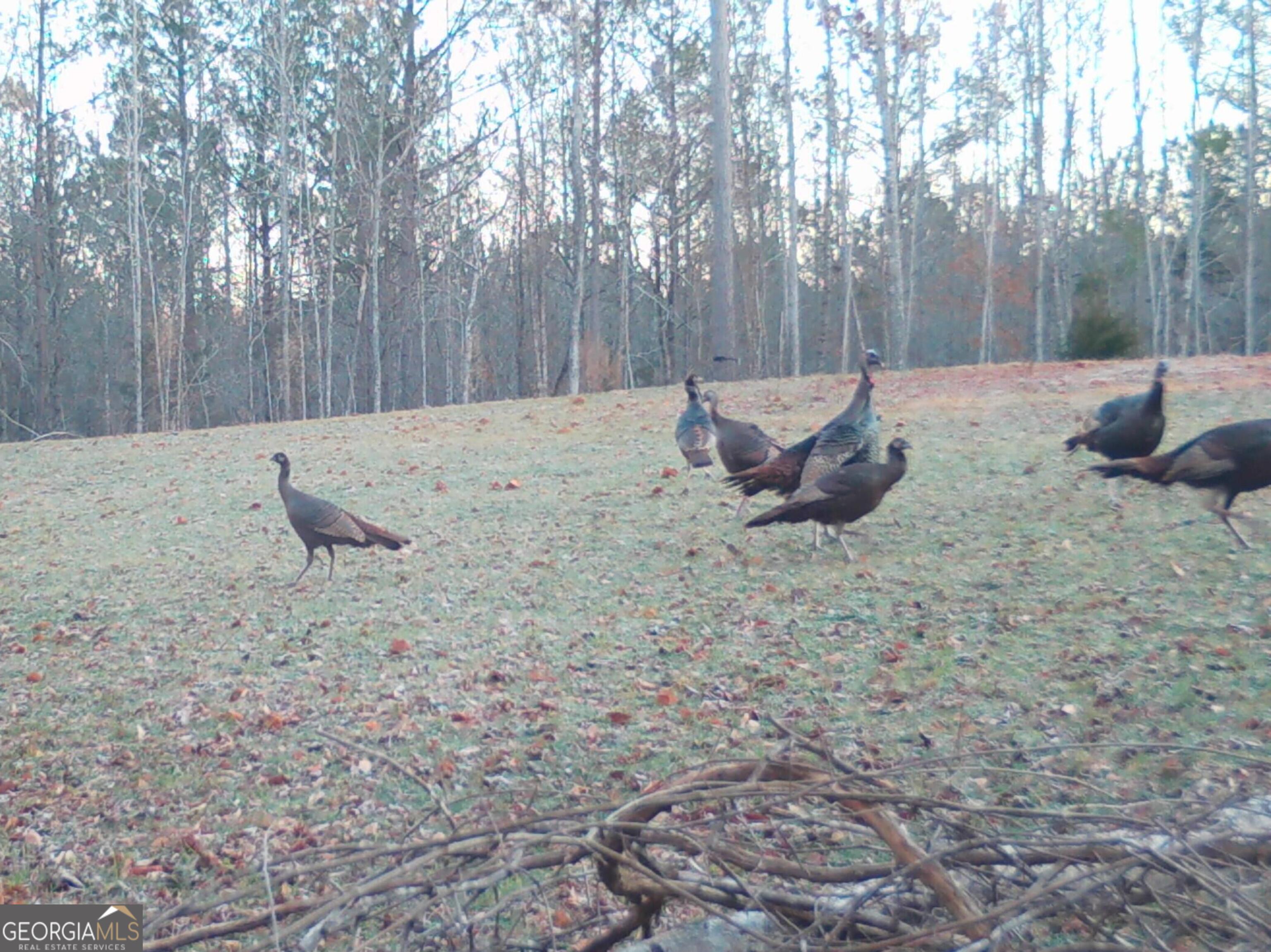 0 Logtown Road Thomaston GA 30286