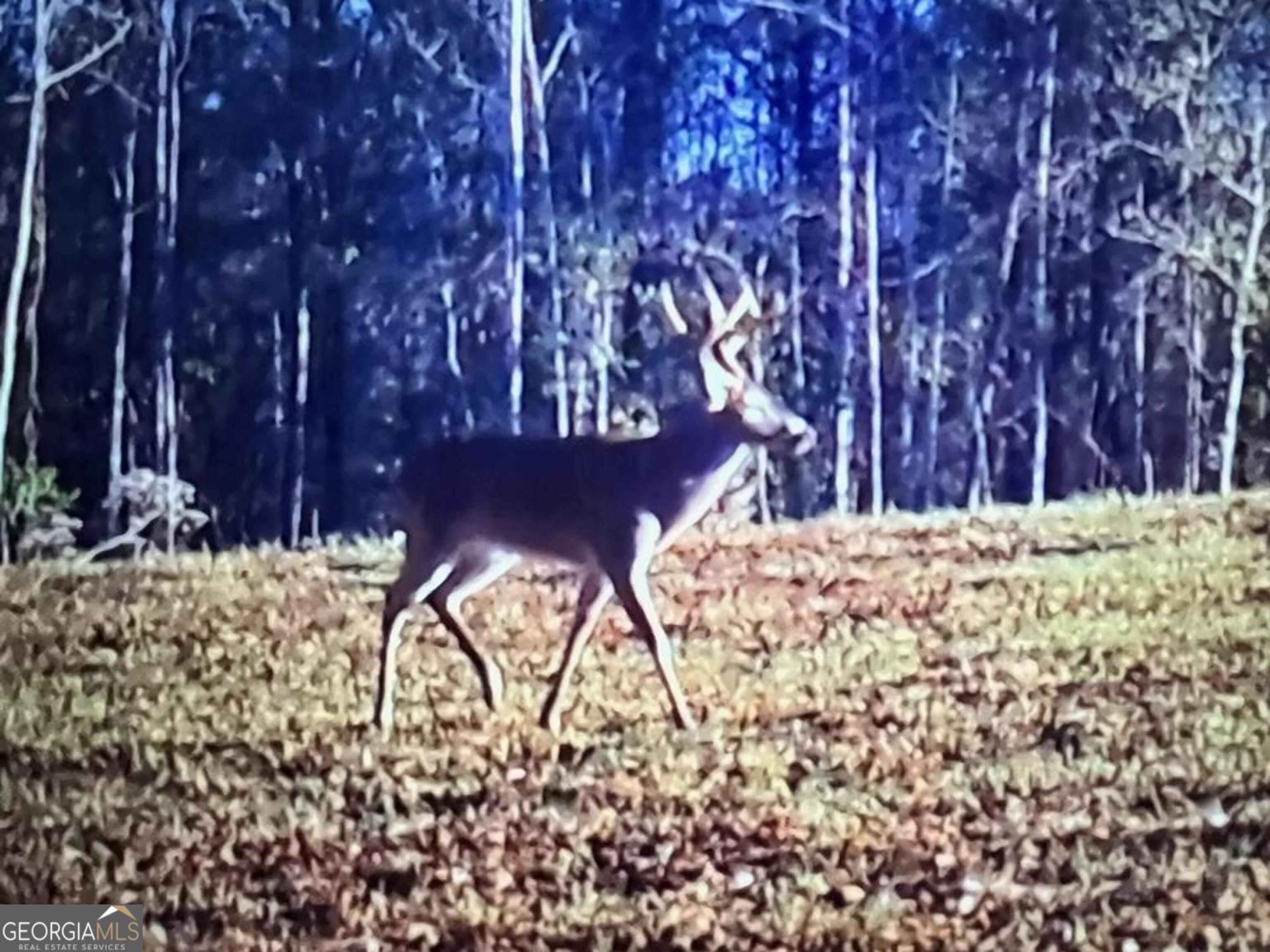 0 Logtown Road Thomaston GA 30286