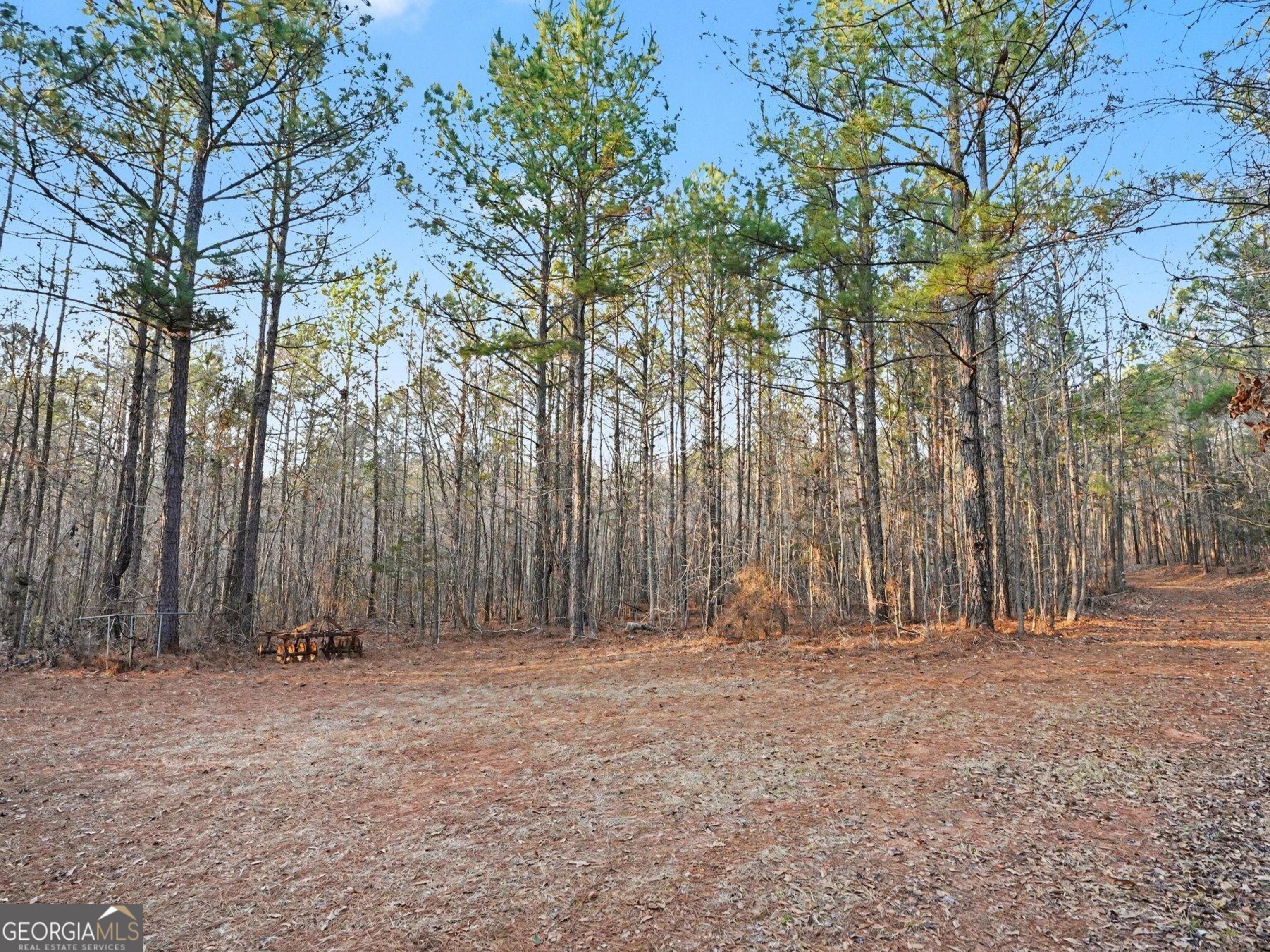 0 Logtown Road Thomaston GA 30286