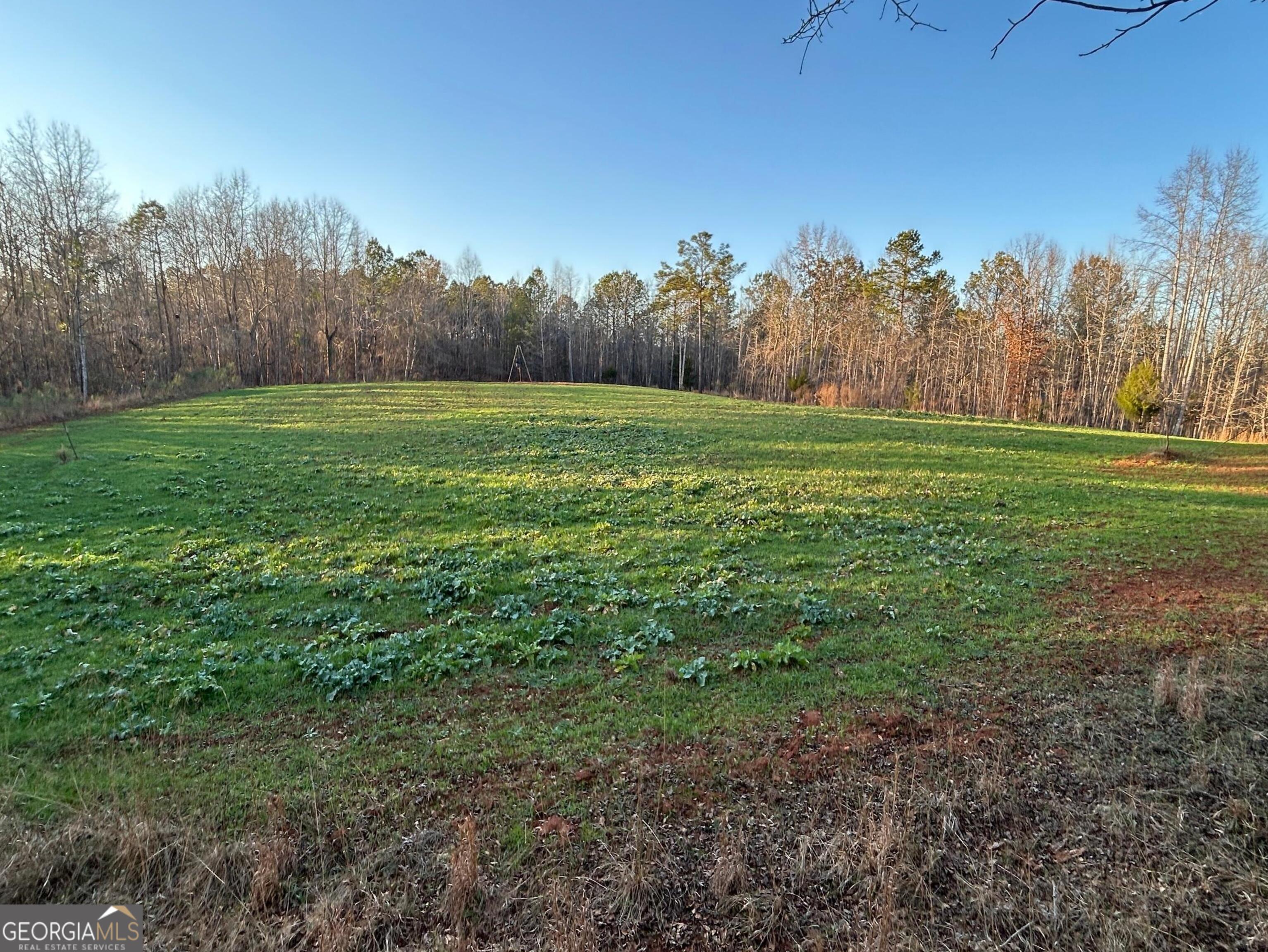 0 Logtown Road Thomaston GA 30286