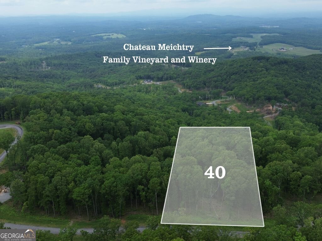 40 High Summit Drive Talking Rock GA 30175