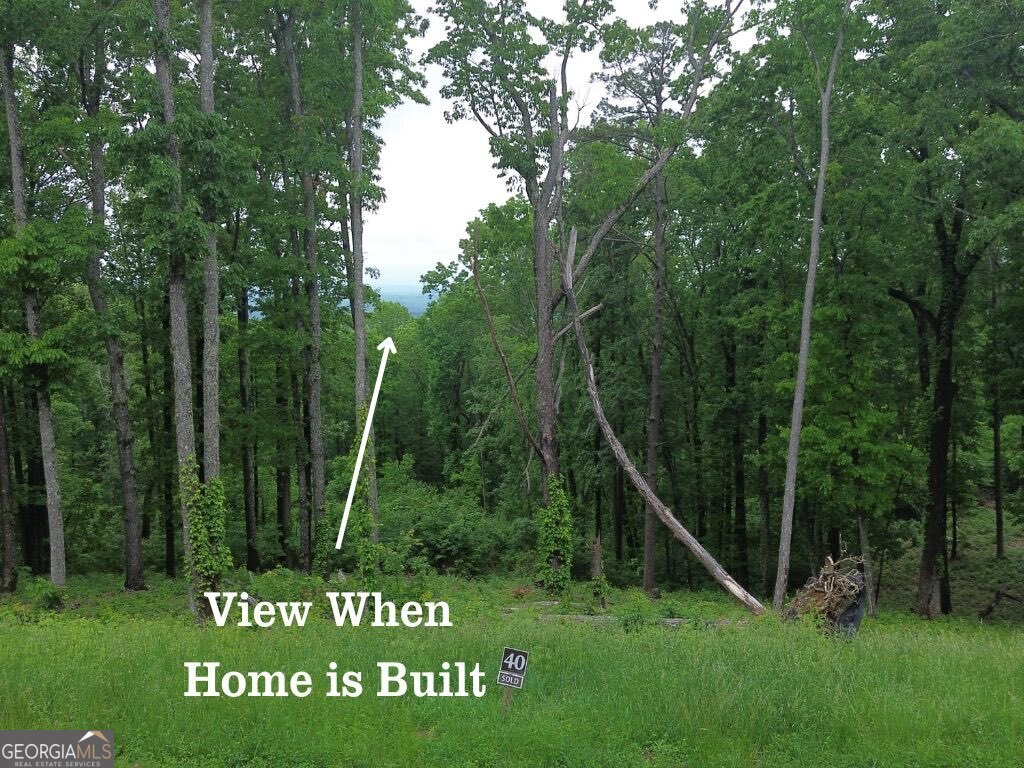 40 High Summit Drive Talking Rock GA 30175