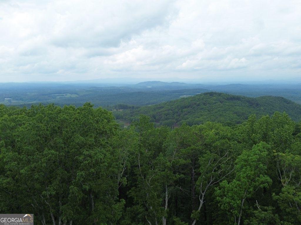 40 High Summit Drive Talking Rock GA 30175